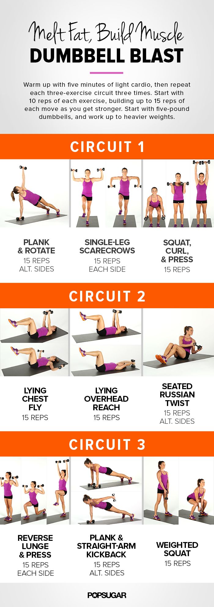 Strength And Cardio Workout Program