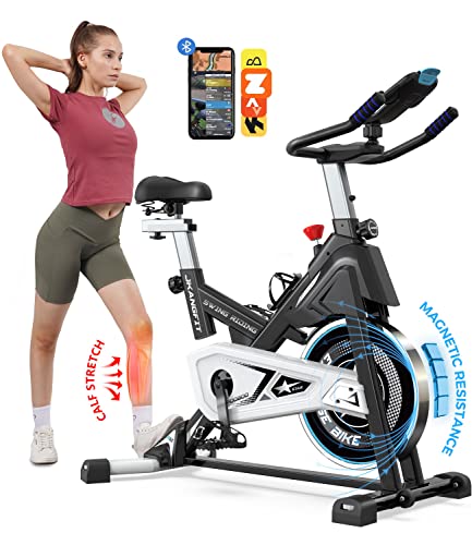 Recumbent Exercise Bikes